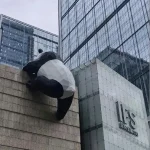成都爬墙熊猫