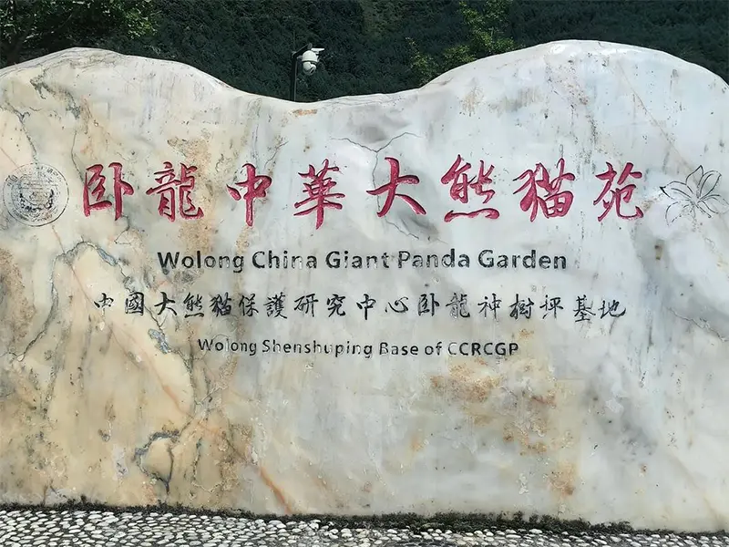 卧龙熊猫自然保护区攻略：近距离接触国宝