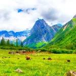 原始静谧的四姑娘山双桥沟
