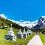 四姑娘山双桥沟雪山森林