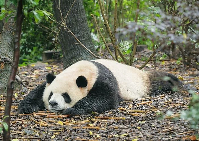 第1天行程图片