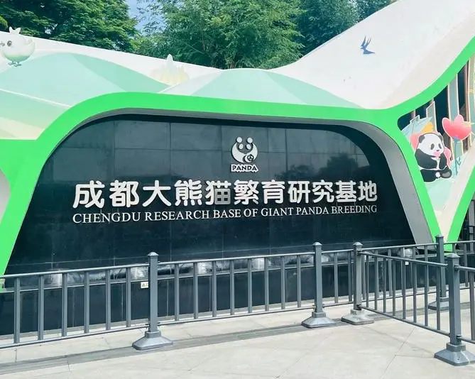 成都熊猫基地攻略：最佳观赏时间与拍照技巧