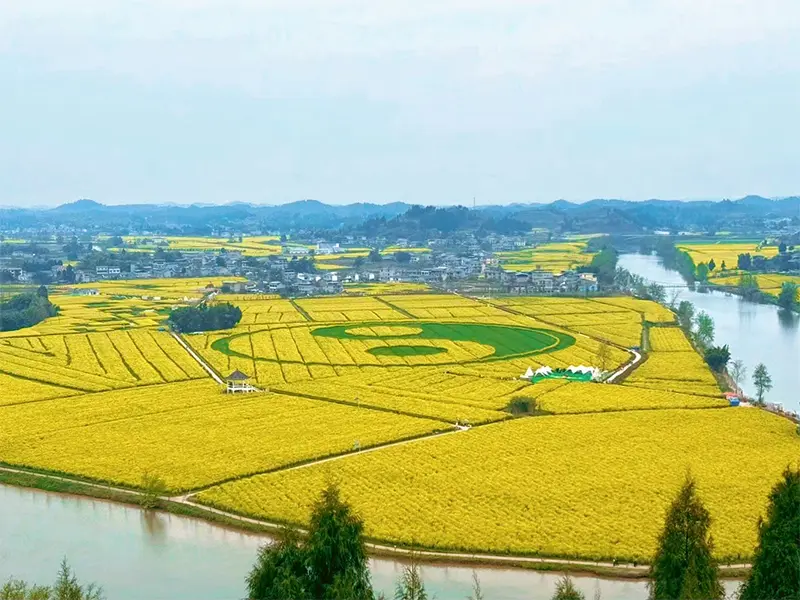 四川春季赏花攻略：油菜花与桃花的盛宴
