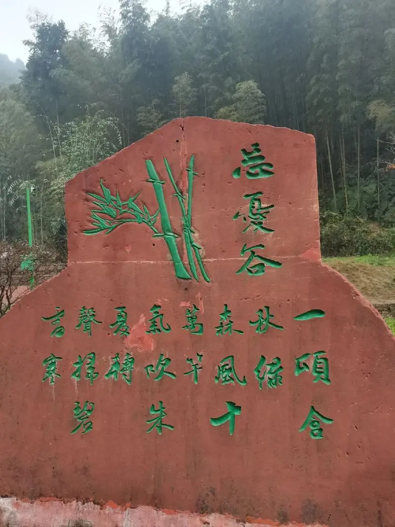 蜀南竹海-忘忧谷