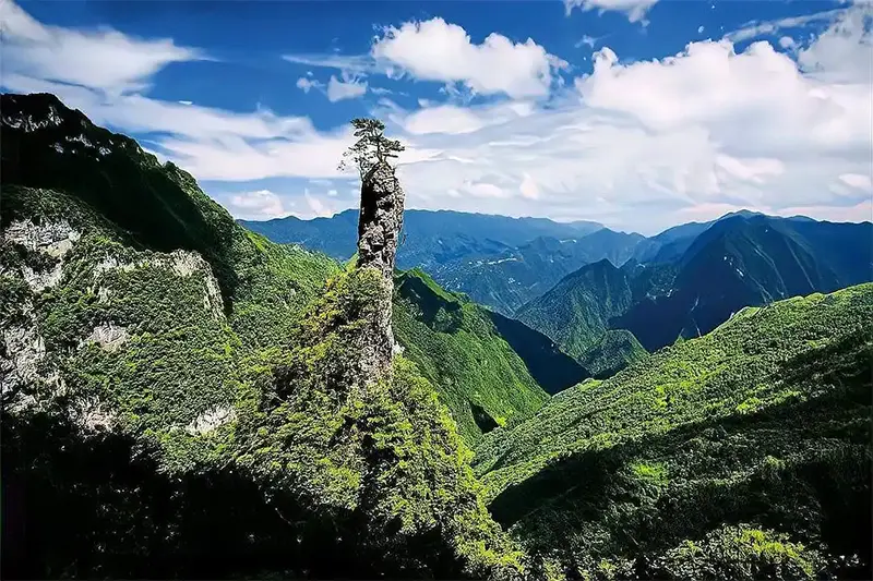达州八台山攻略：川东第一山的云海奇观