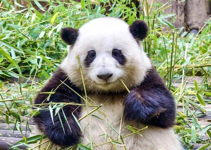第1天行程图片