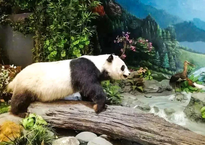 第1天行程图片