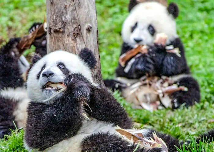 第2天行程图片