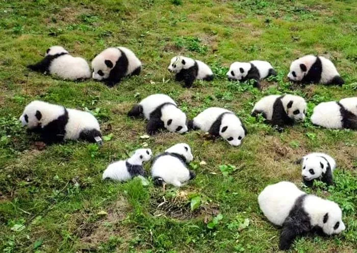 第2天行程图片