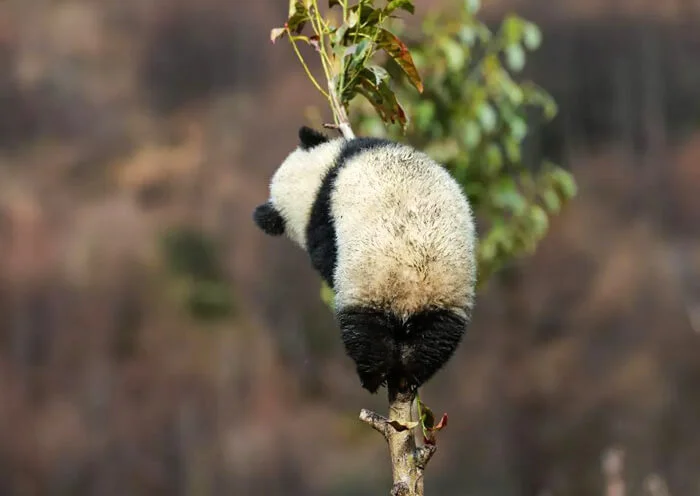 第2天行程图片