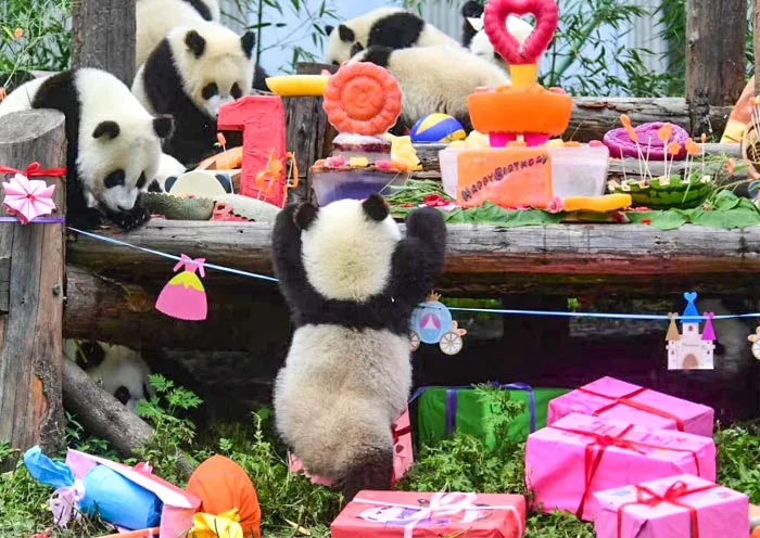 第2天行程图片