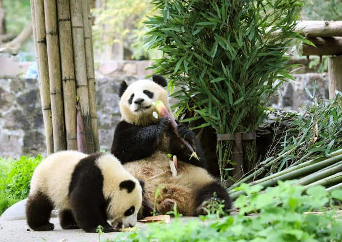第2天行程图片