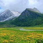 洛绒牛场