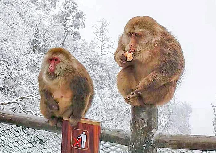 第3天行程图片