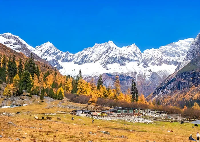 四姑娘山攻略:双桥沟雪山景观