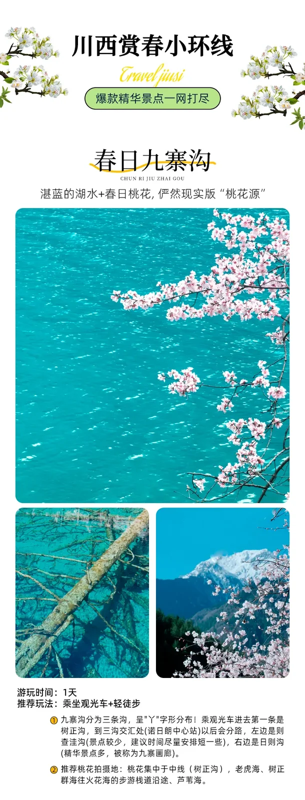 川西梨花季6日小团·九寨沟+金川百里梨花+四姑娘山