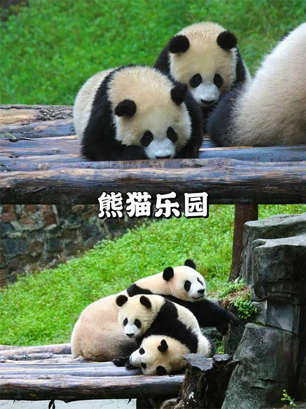 九寨沟5日定制奢享之旅
