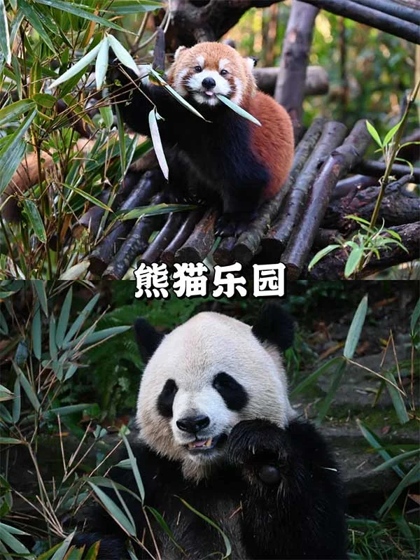 四川7日深度私享之旅