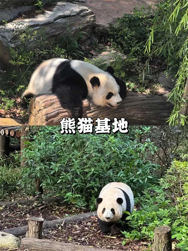 第2天行程图片