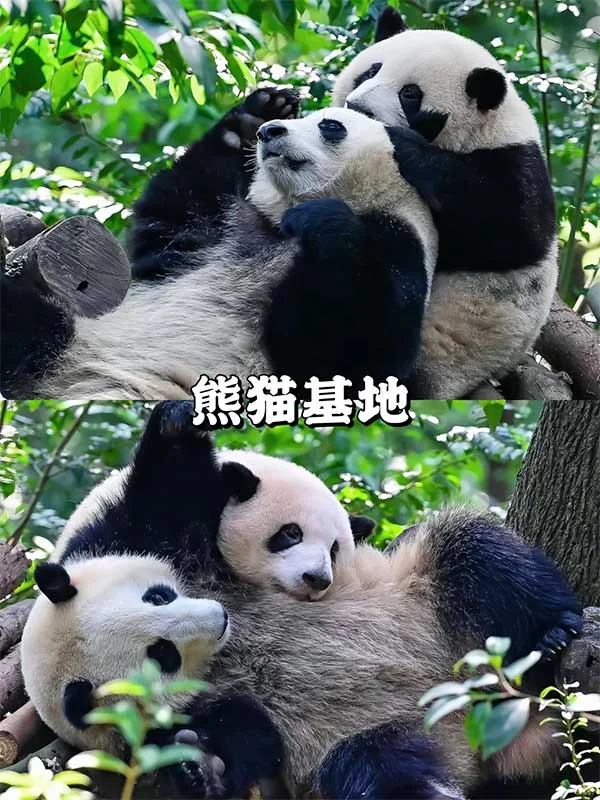 第5天行程图片