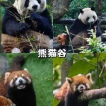 熊猫谷